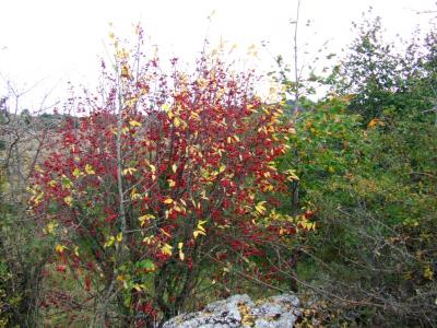 Прикрепленное изображение: DSCF5812.jpg